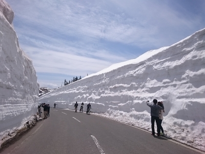 志賀草津ルート　雪の壁