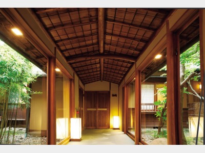 豊年虫イメージ