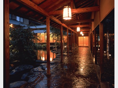 豊年虫イメージ