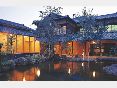 豊年虫　イメージ