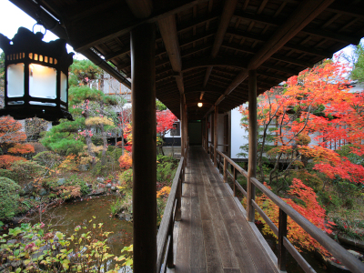 紅葉が美しい秋の渡り廊下