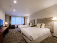 �c�C���i���j