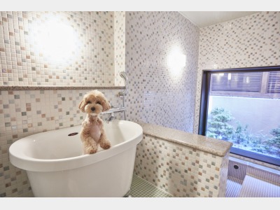 ペットバス（予約制/有料）