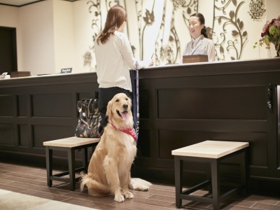 チェックインカウンター