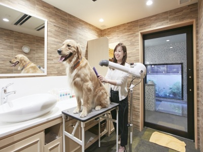 ペットバス（予約制・有料）