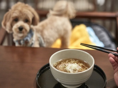 レストラン・夜鳴きそば