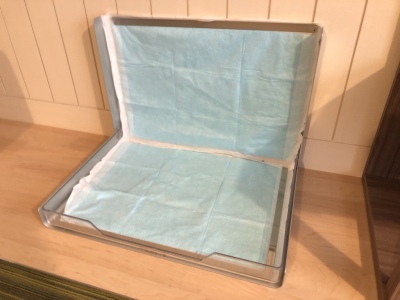 わんちゃん用トイレ