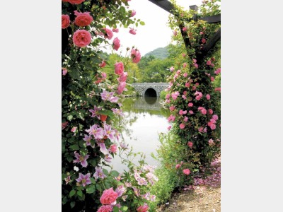 『軽井沢レイクガーデンイメージ』