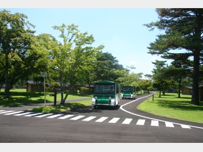 敷地内を走る電気カー