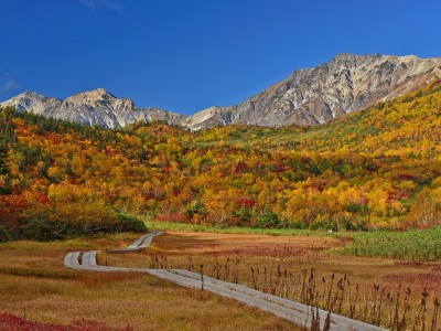 秋の栂池自然園