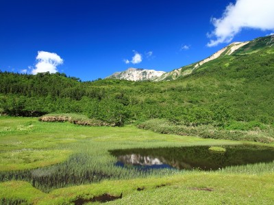 栂池自然園　浮島湿原