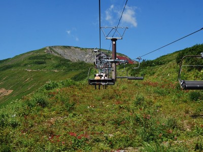 八方アルペンライン