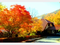 �g�t�ɐ��܂�z�e���G���g�����X