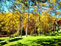 �H�̃v���C�x�[�g�K�[�f��