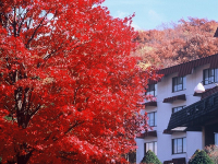 �H�̐�����