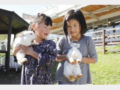 わくわくどうぶつ王国のうさぎ（入場有料）※冬季休業