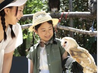 �킭�킭�ǂ��Ԃ����̃t�N���E�i����L���j���~�G�x��