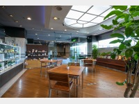 ���X/���E���W