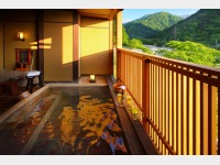 ��Ԉ�t�@�q���I�V���C���A