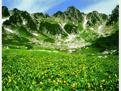 夏の千畳敷カール