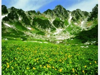 �Ă̐���~�J�[��