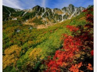 �H�̐���~�J�[��