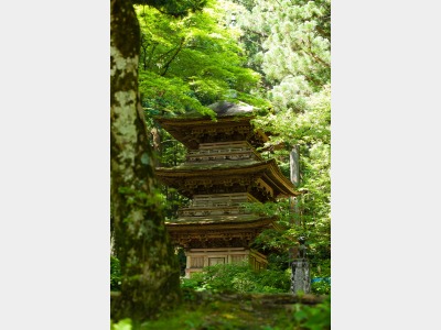 光前寺　三重塔・早太郎像