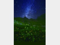 ����~�J�[���i�W���Q�U�O�O���j����̐���