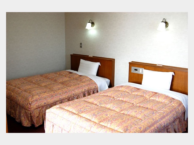 �c�C�����[���i���j