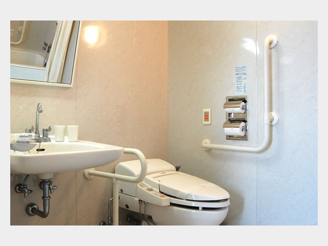 �o���A�t���[���[���i���j