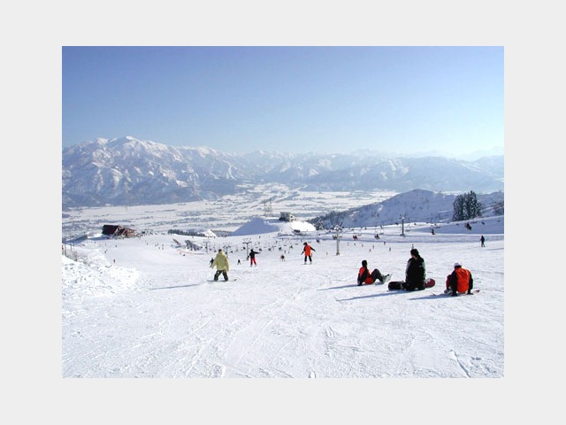 �Q�����f�̕��i