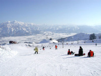 �Q�����f�̕��i