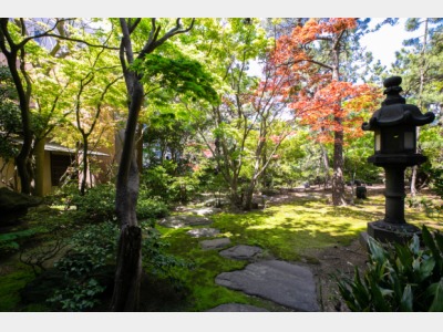 日本庭園（イメージ）