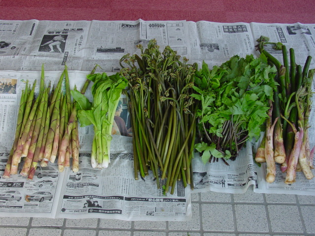 旅館 田端屋 新潟県 杉ノ沢 の地図 フォトギャラリー 日本旅行