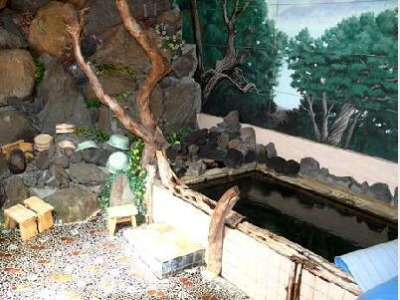 お風呂（女湯）