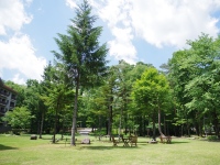 ���O���[���V�[�Y���̒���