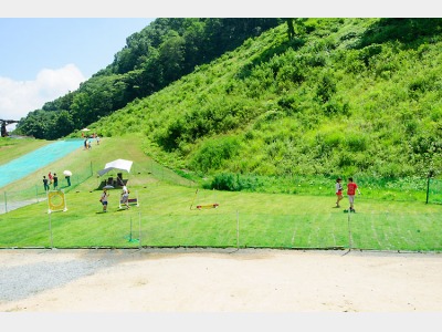 中～大型犬用ドッグラン