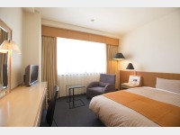 �V���O�����[��