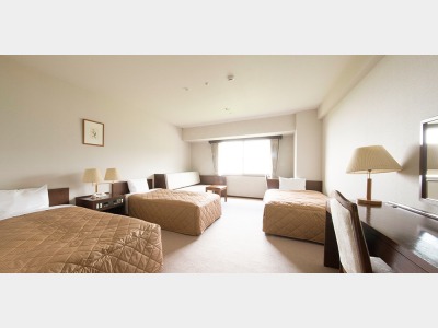 客室の一例（ツイン・トリプル）