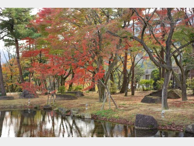 館内庭園　秋