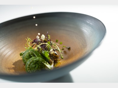 フランス料理　メニュー例