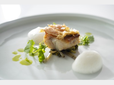 フランス料理　メニュー例