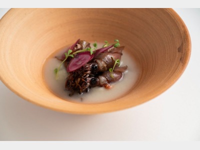 フランス料理　メニュー例