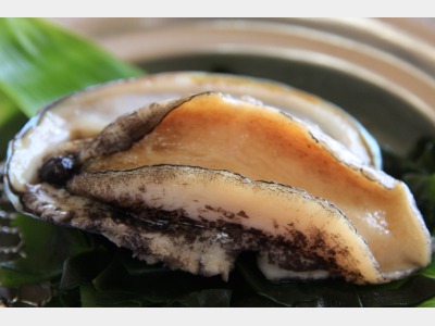 活きあわびのワイン蒸し