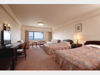 �c�C���{�G�L�X�g���i���j