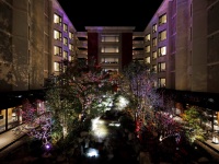 ����i���C�g�A�b�v�j