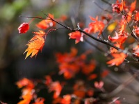 ����i�H�j