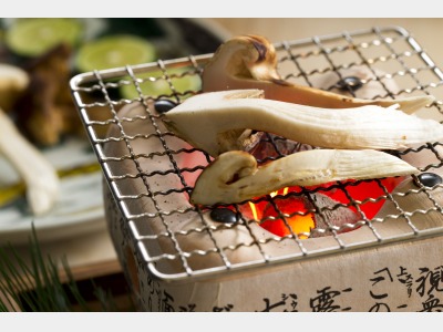 【本館】松茸料理の一例