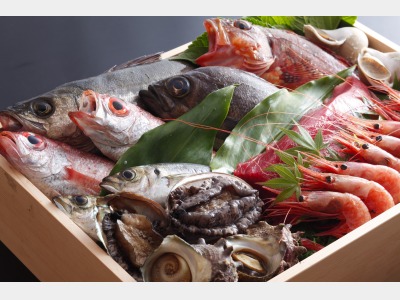 地元橋立漁港の旬の幸