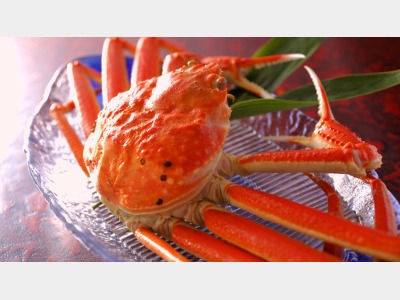 冬のお楽しみは、やっぱり「ずわい蟹」※イメージ